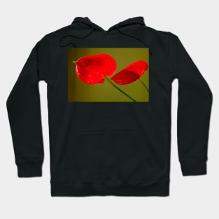 Red on Green Hoodie